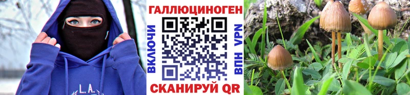 Галлюциногенные грибы Psilocybine cubensis  как найти закладки  Северо-Курильск 